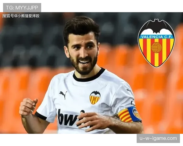 加亚比赛影响力