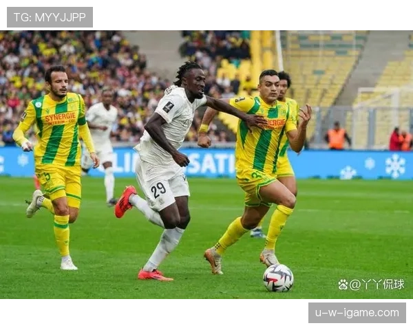 南特防守体系 南特防守体系