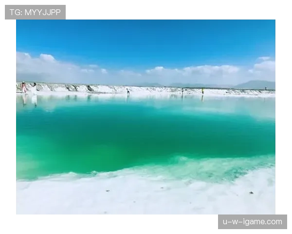 刚刷到维克托·阿萨尔森家早餐台，咖啡机比我家电视还贵，瞬间怀疑人生